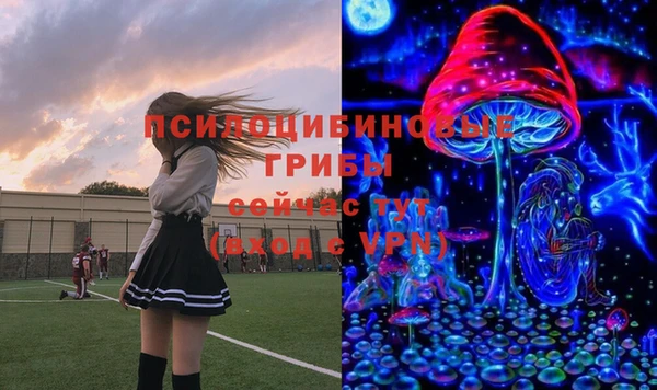 стафф Дмитриев