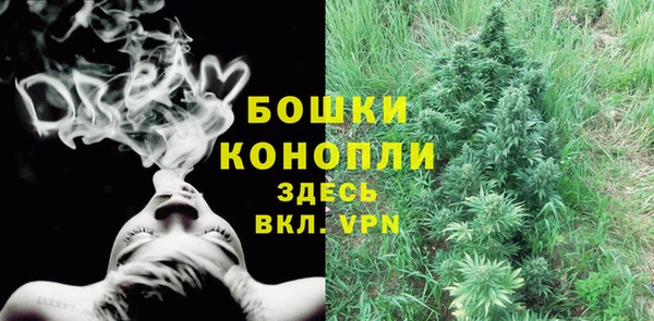 стафф Дмитриев