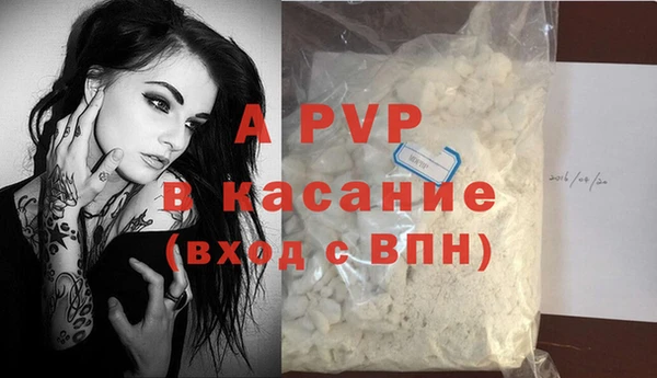 стафф Дмитриев