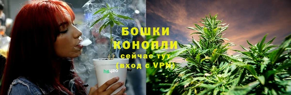 стафф Дмитриев