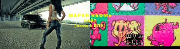 стафф Дмитриев