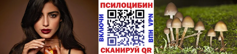 Галлюциногенные грибы Magic Shrooms  Купить  Богданович 